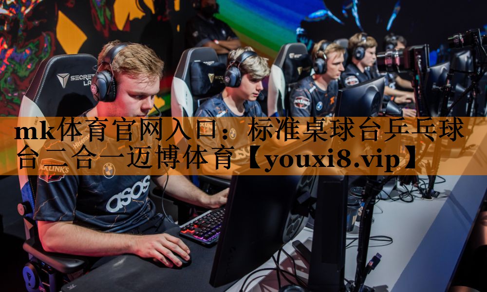 mk体育官网入口：标准桌球台乒乓球台二合一迈博体育