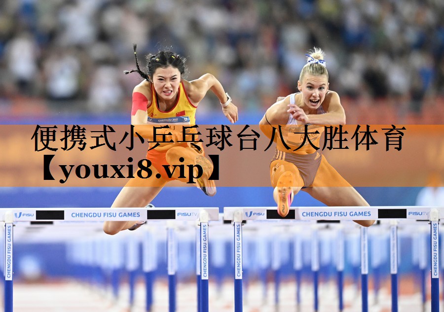 便携式小乒乓球台八大胜体育