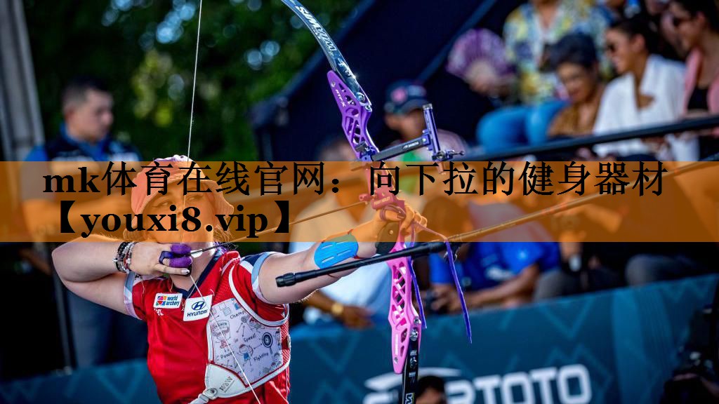 mk体育在线官网：向下拉的健身器材