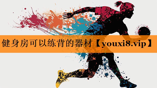 健身房可以练背的器材