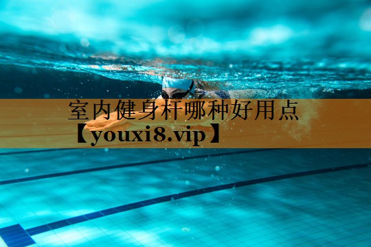 室内健身杆哪种好用点 室内健身杆哪种好用点