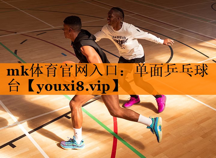 单面乒乓球台 单面乒乓球台